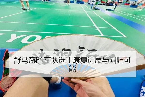 舒马赫F1车队选手康复进展与回归可能